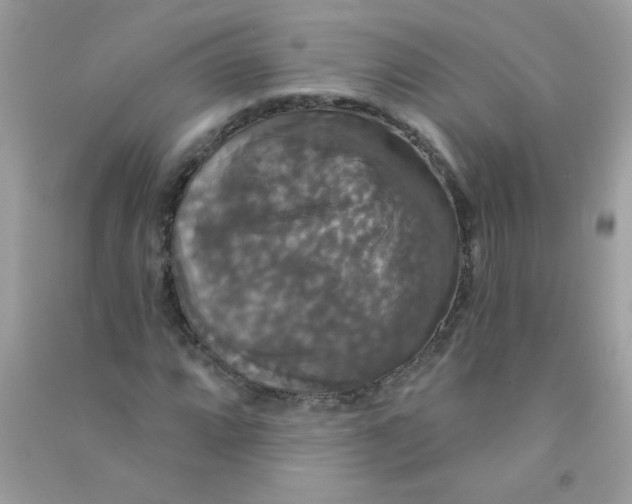 X0000090771064200708172103