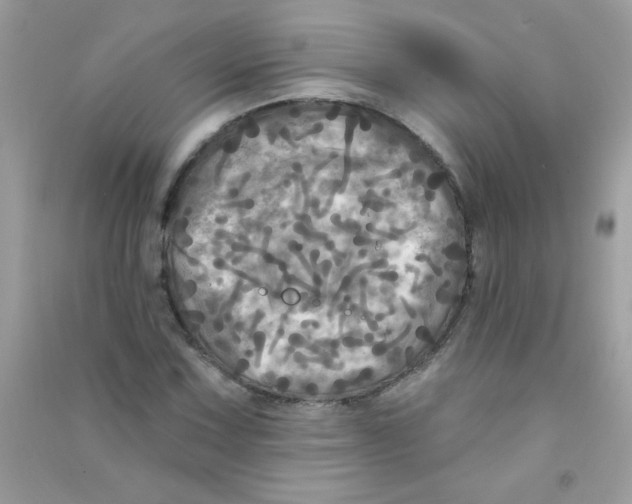 X0000090771067200708172103