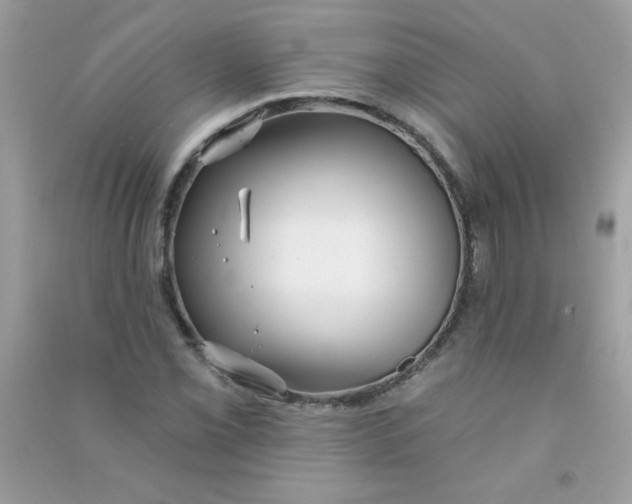 X0000090771069200708172103