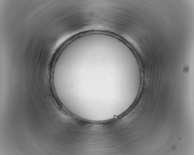 X0000090771070200708172103