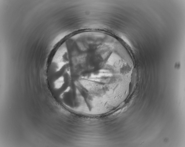 X0000090771071200708172103