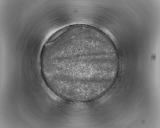 X0000090771072200708172103