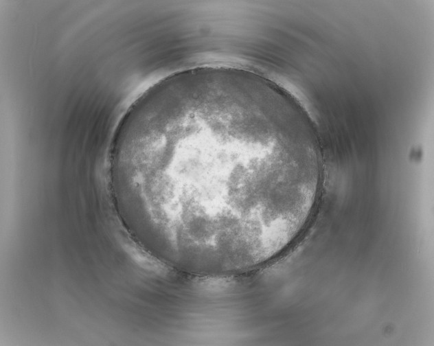 X0000090771074200708172103