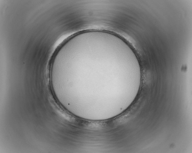 X0000090771078200708172103