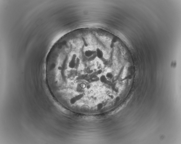 X0000090771079200708172103