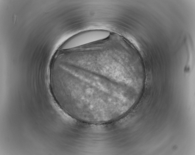 X0000090771080200708172103