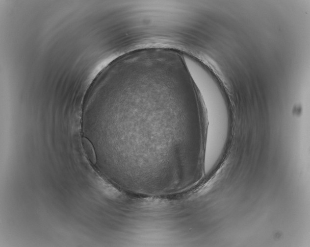 X0000090771081200708172103