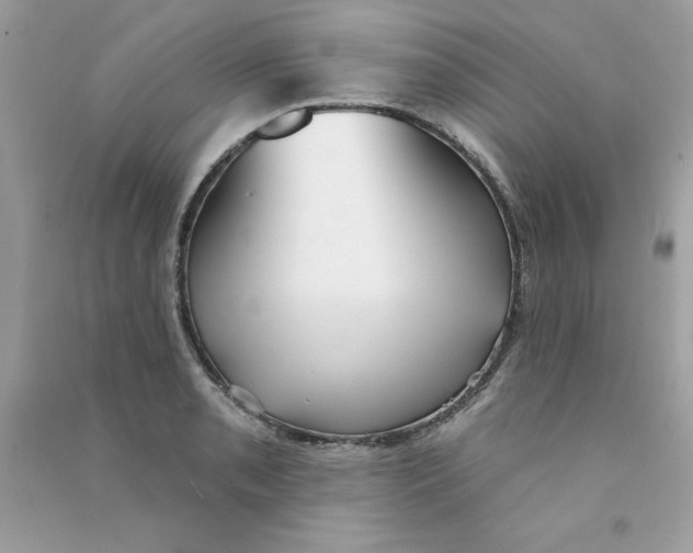 X0000090771085200708172103