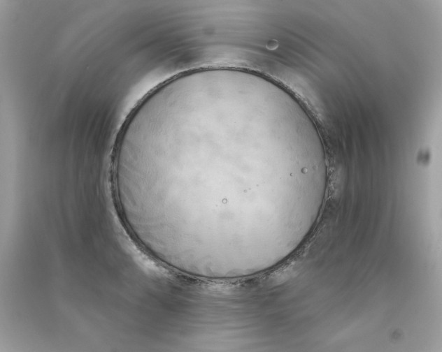 X0000090771086200708172103