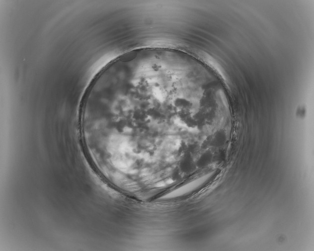 X0000090771087200708172103