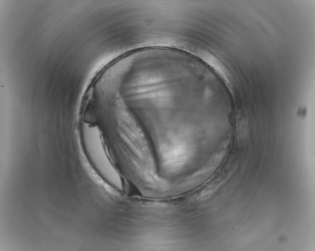 X0000090771088200708172103