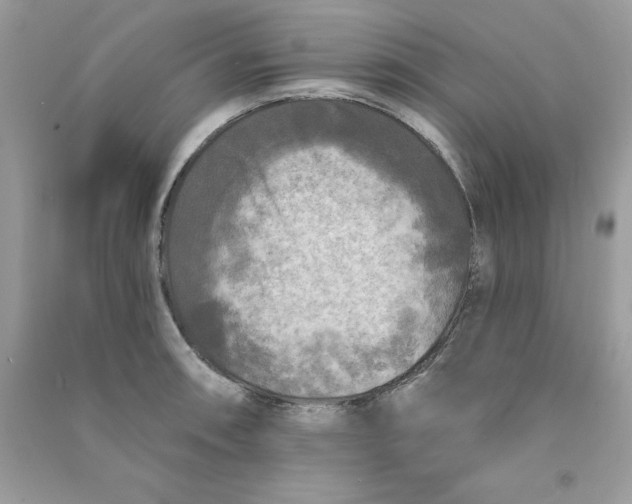 X0000090771090200708172103