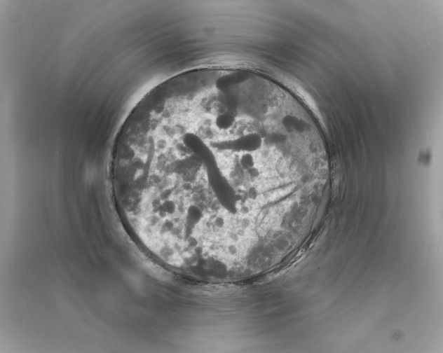X0000090771091200708172103