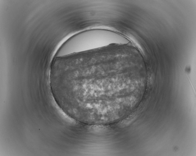 X0000090771092200708172103