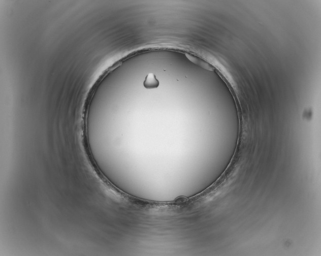 X0000090771093200708172103