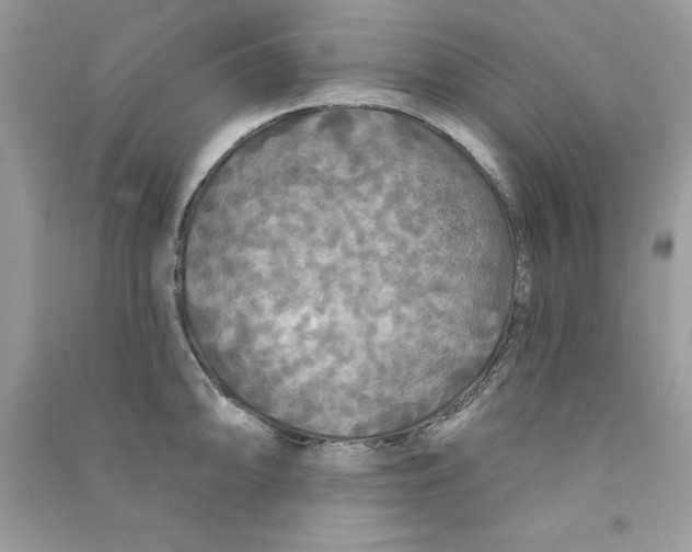 X0000090771094200708172103