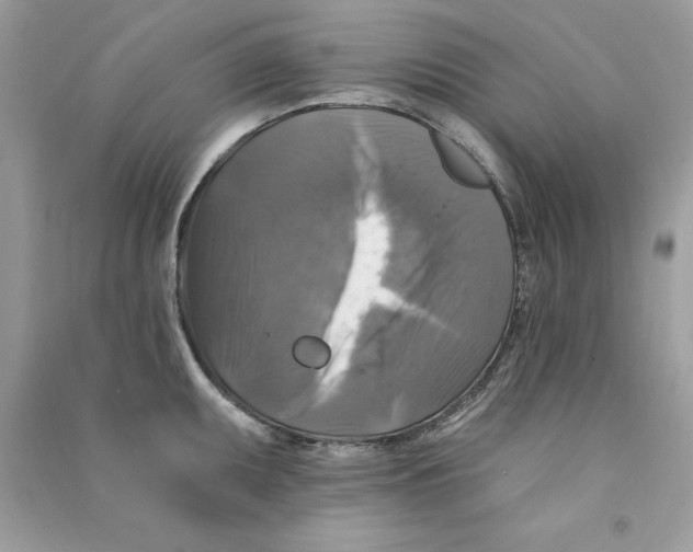 X0000090771095200708172103