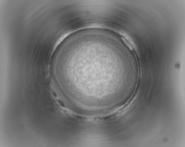 X0000090771097200708172103