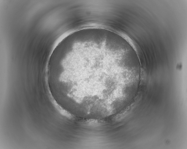 X0000090771098200708172103