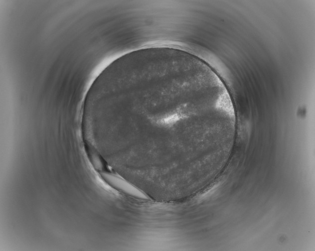 X0000090771102200708172103
