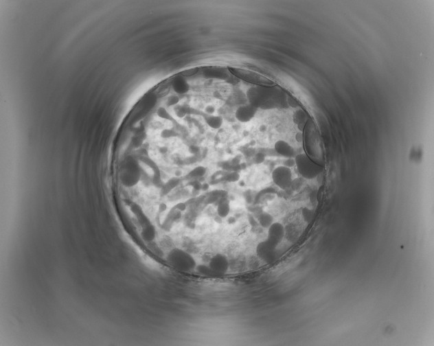 X0000090771103200708172103
