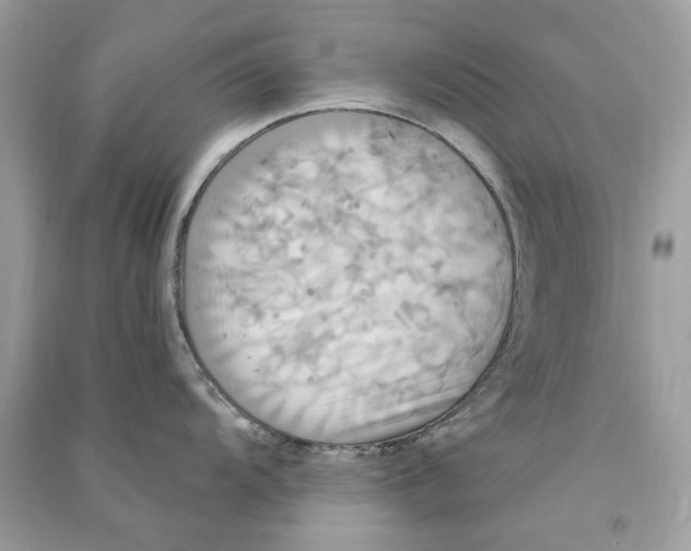 X0000090771104200708172103