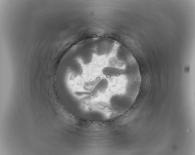 X0000090771105200708172102