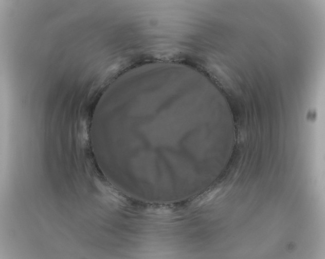 X0000090771106200708172102