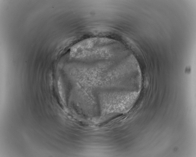 X0000090771108200708172102