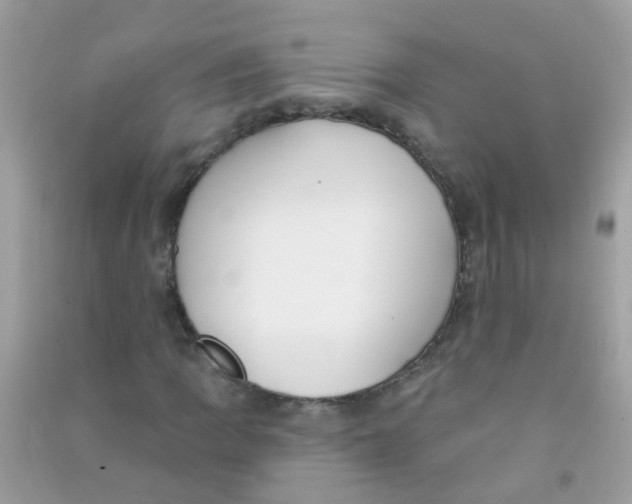 X0000090771109200708172102