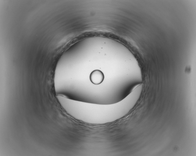 X0000090771110200708172102