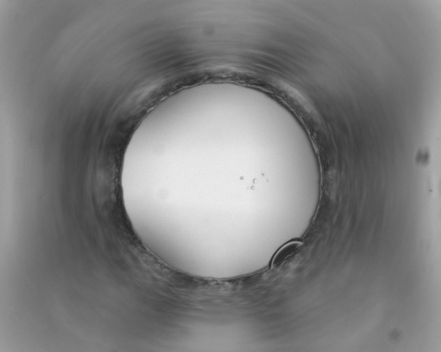 X0000090771111200708172102