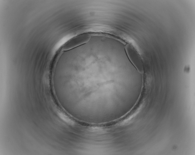 X0000090771114200708172102