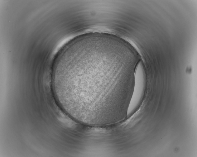 X0000090771115200708172102