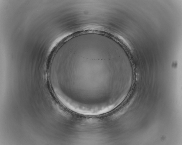 X0000090771117200708172102