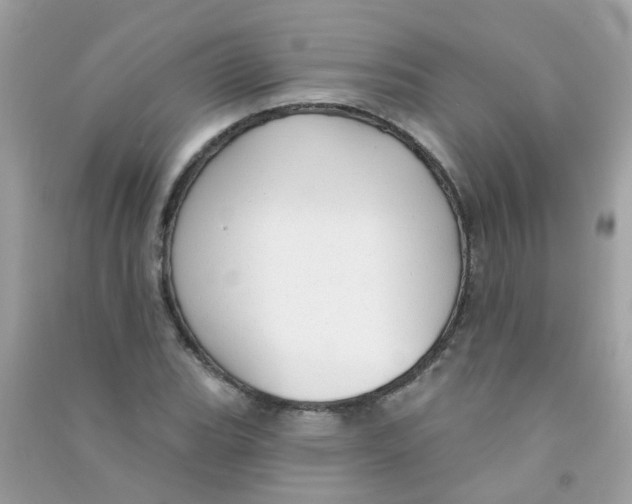 X0000090771119200708172102