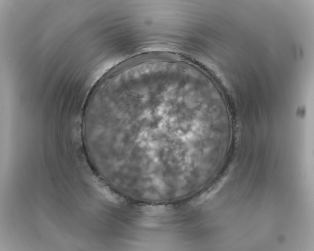 X0000090771121200708172102