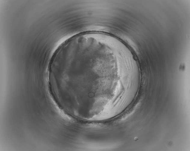 X0000090771125200708172102