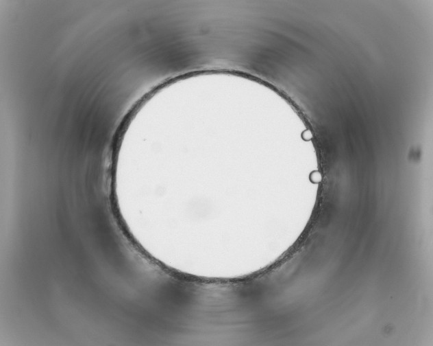 X0000090771126200708172102