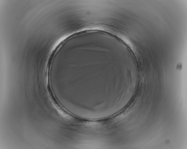 X0000090771127200708172102