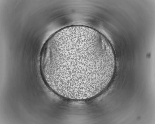 X0000090771133200708172103