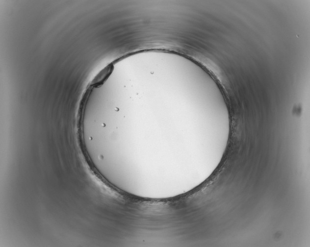 X0000090771135200708172103