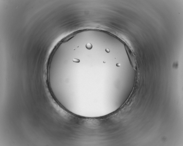 X0000090771136200708172103