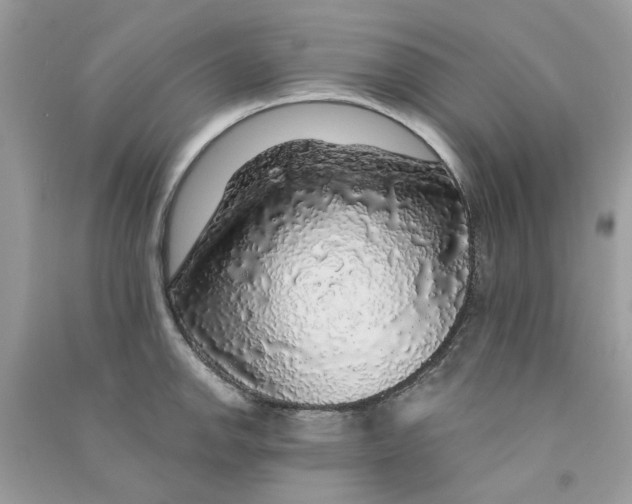X0000090771142200708172103