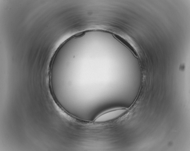 X0000090771143200708172103