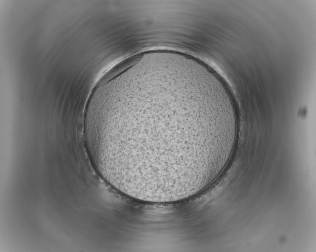 X0000090771145200708172103