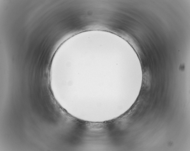 X0000090771150200708172103