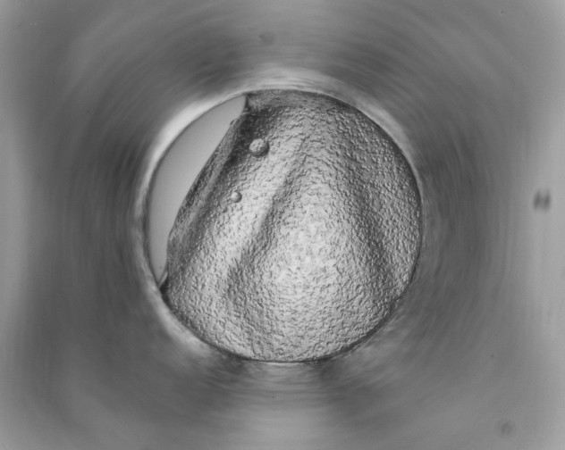 X0000090771152200708172103