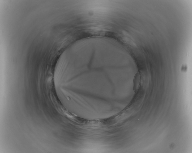 X0000090771154200708172102