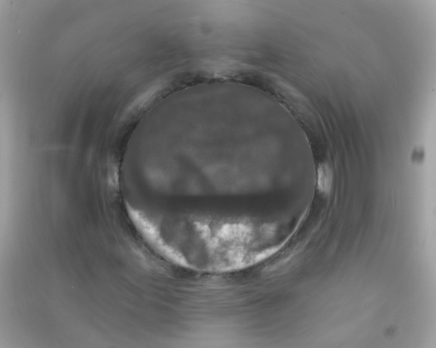 X0000090771155200708172102